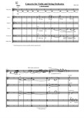 Concerto for Violin and String Orchestra, Movement I